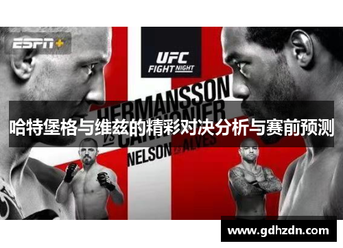 哈特堡格与维兹的精彩对决分析与赛前预测