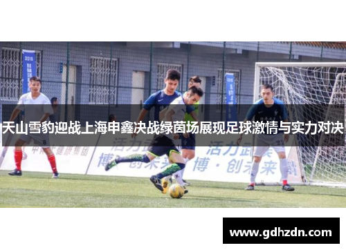 天山雪豹迎战上海申鑫决战绿茵场展现足球激情与实力对决