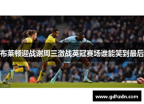 布莱顿迎战谢周三激战英冠赛场谁能笑到最后
