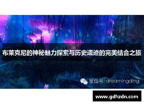 布莱克尼的神秘魅力探索与历史遗迹的完美结合之旅