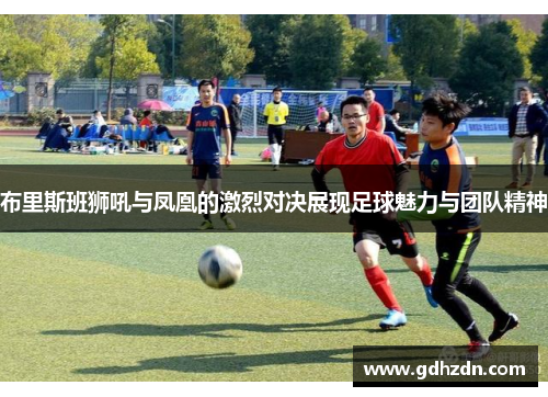 布里斯班狮吼与凤凰的激烈对决展现足球魅力与团队精神