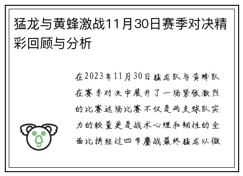 猛龙与黄蜂激战11月30日赛季对决精彩回顾与分析
